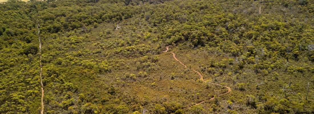 Bruny Island Real Estate Bruny Island Real Estate Fall Real Estate Bruny Island Real Estate