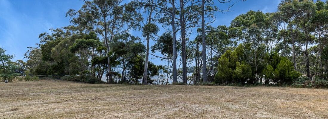 Jude Viney jude viney, bruny island property agent Fall Real Estate Jude Viney