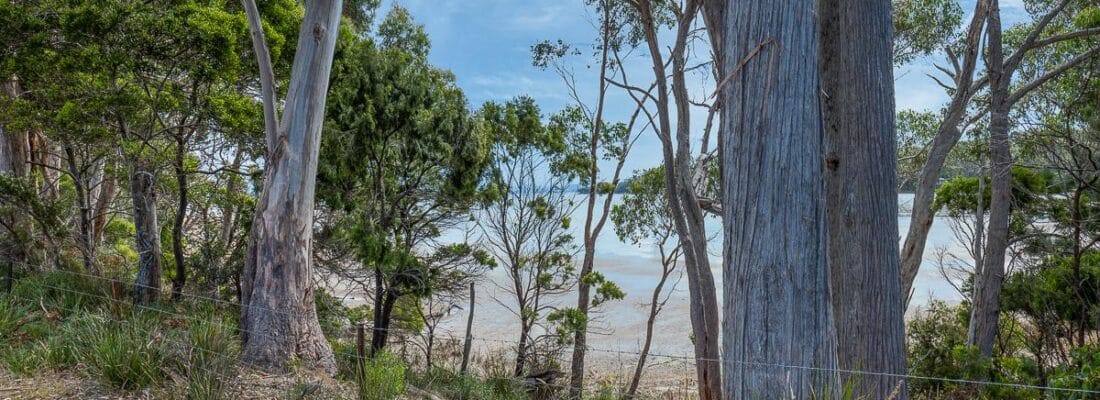 Jude Viney jude viney, bruny island property agent Fall Real Estate Jude Viney