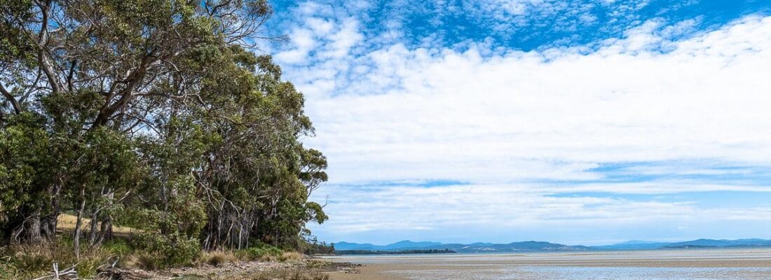 Jude Viney jude viney, bruny island property agent Fall Real Estate Jude Viney