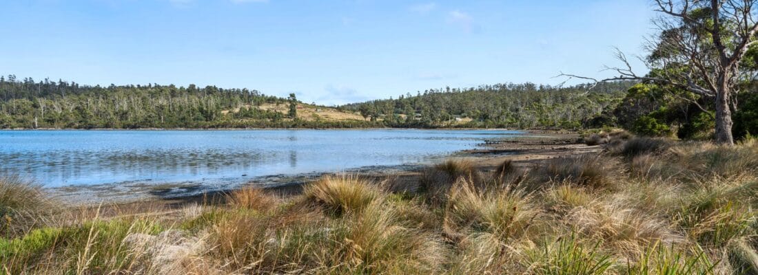 Suzanne Eaton suzanne eaton Fall Real Estate Suzanne Eaton