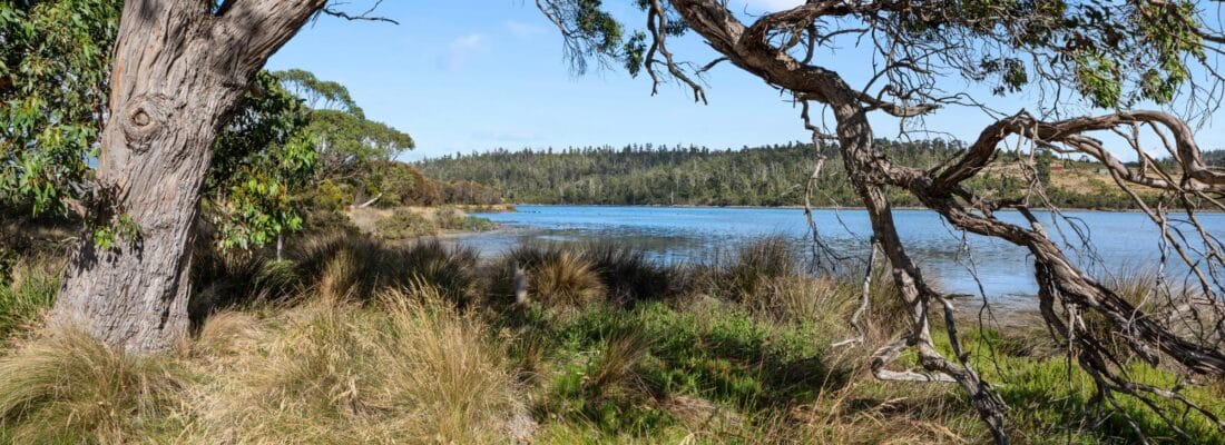 Fall Real Estate Suzanne Eaton