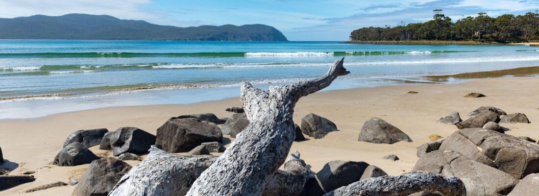 Bruny Island Real Estate Bruny Island Real Estate Fall Real Estate Bruny Island Real Estate