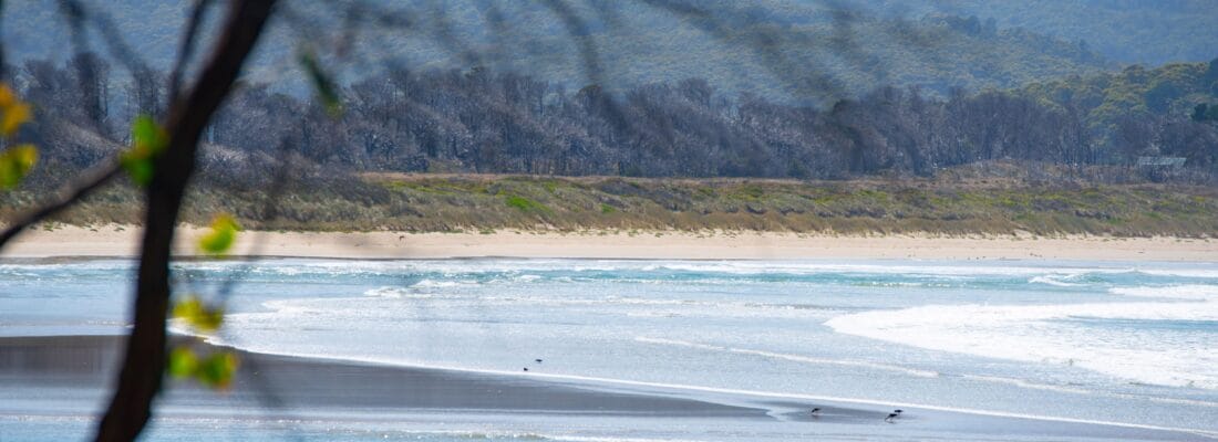 Bruny Island Real Estate Bruny Island Real Estate Fall Real Estate Bruny Island Real Estate