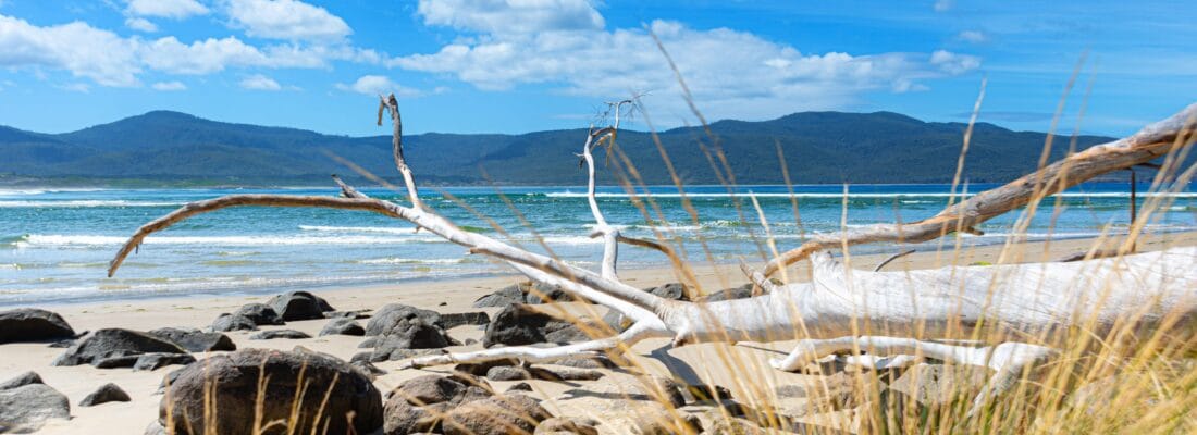 Bruny Island Real Estate Bruny Island Real Estate Fall Real Estate Bruny Island Real Estate