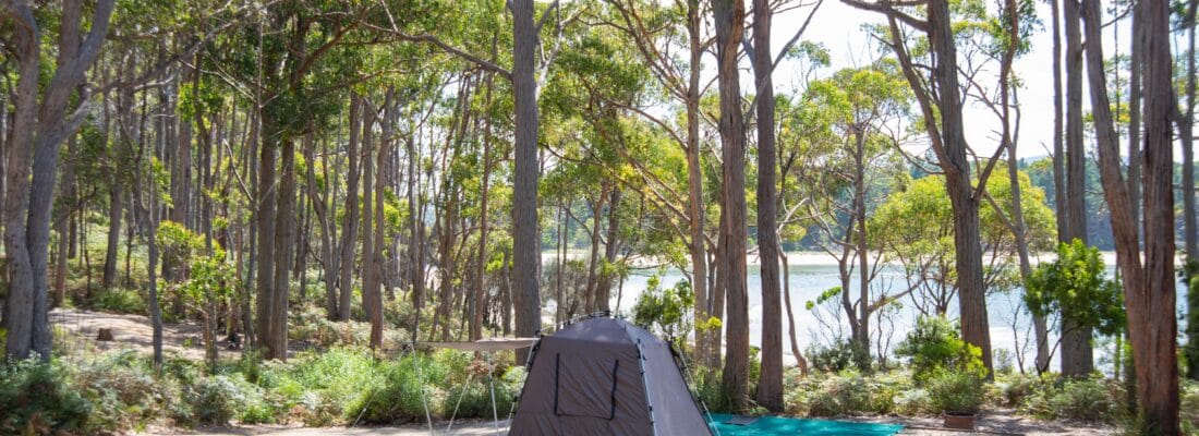 Bruny Island Real Estate Bruny Island Real Estate Fall Real Estate Bruny Island Real Estate