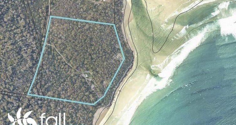 Fall Real Estate Jude Viney