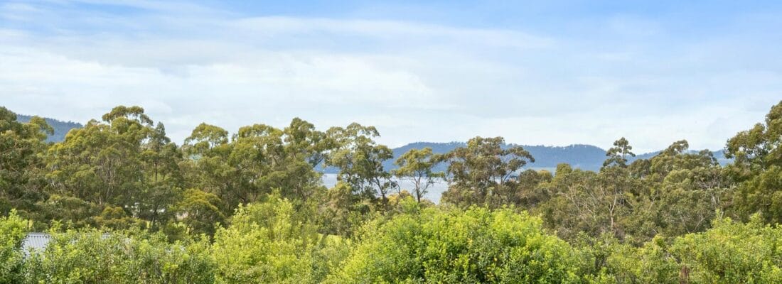 Kim Chandler-Storey Kim Chandler-Storey Fall Real Estate Kim Chandler-Storey