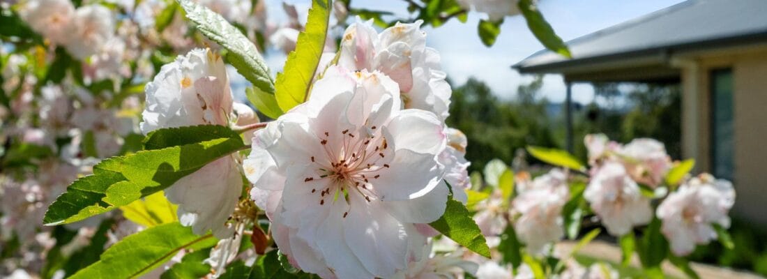 Kim Chandler-Storey Kim Chandler-Storey Fall Real Estate Kim Chandler-Storey