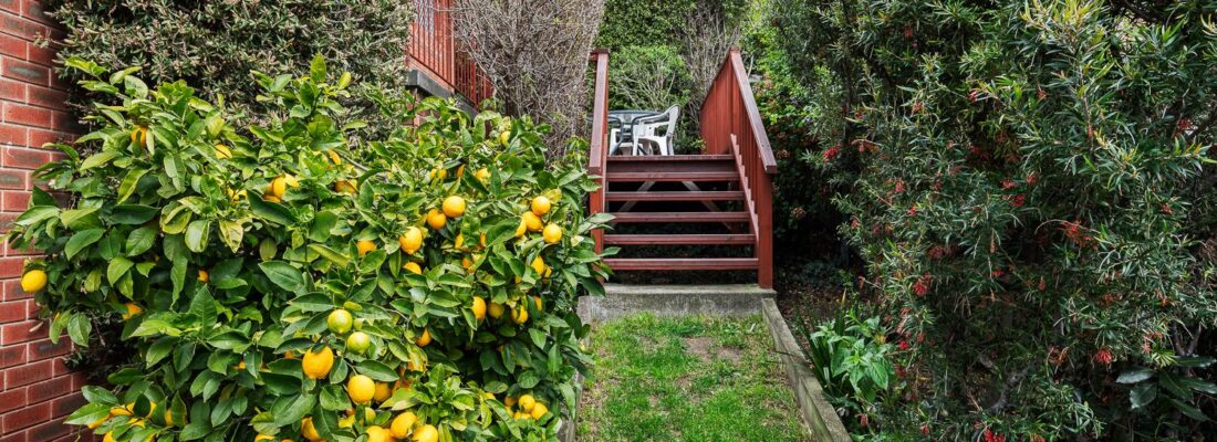 Kelly Fall & Jo Brownless Kelly Fall, Jo Brownless Fall Real Estate Kelly Fall & Jo Brownless