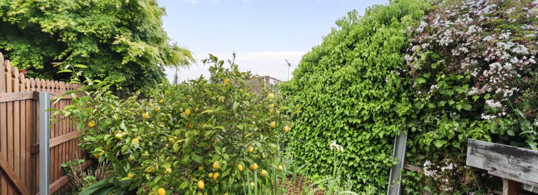 Sold Properties Sold Hobart Fall Real Estate Sold