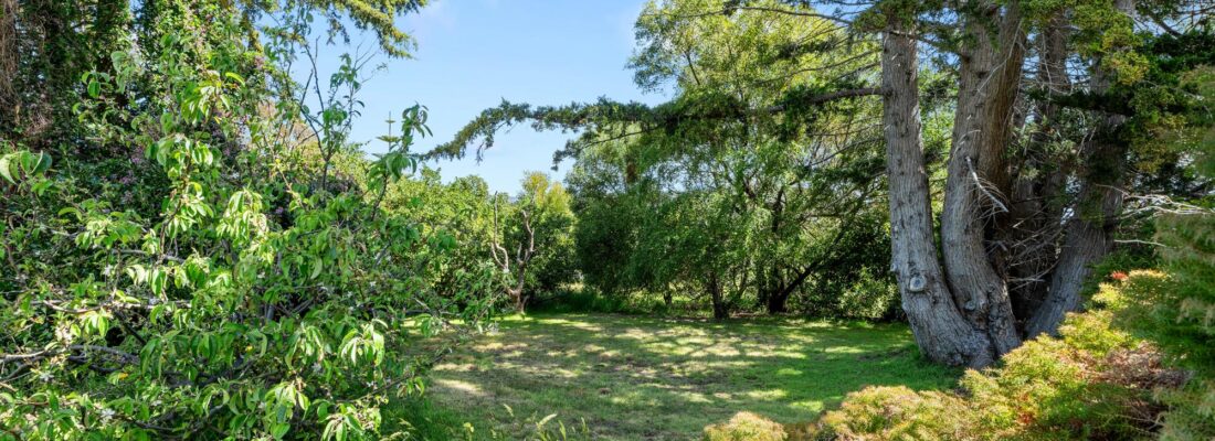 Suzanne Eaton suzanne eaton Fall Real Estate Suzanne Eaton