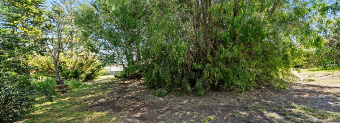 Suzanne Eaton suzanne eaton Fall Real Estate Suzanne Eaton