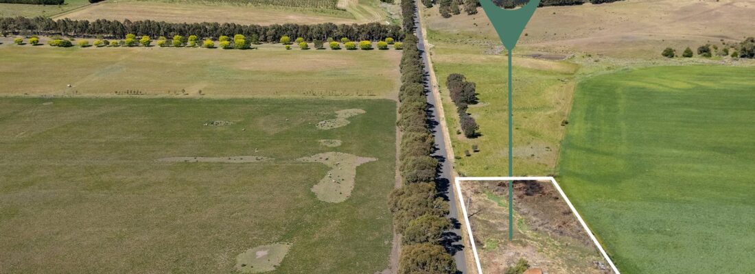 Suzanne Eaton suzanne eaton Fall Real Estate Suzanne Eaton