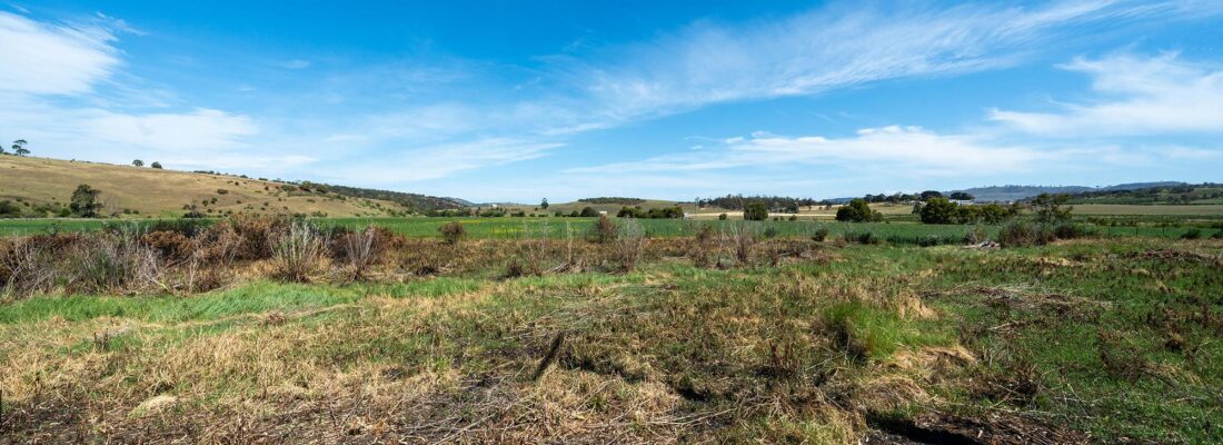 Fall Real Estate Suzanne Eaton