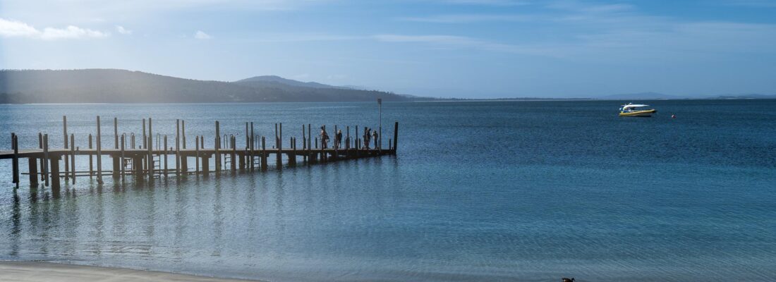 Fall Real Estate Jude Viney