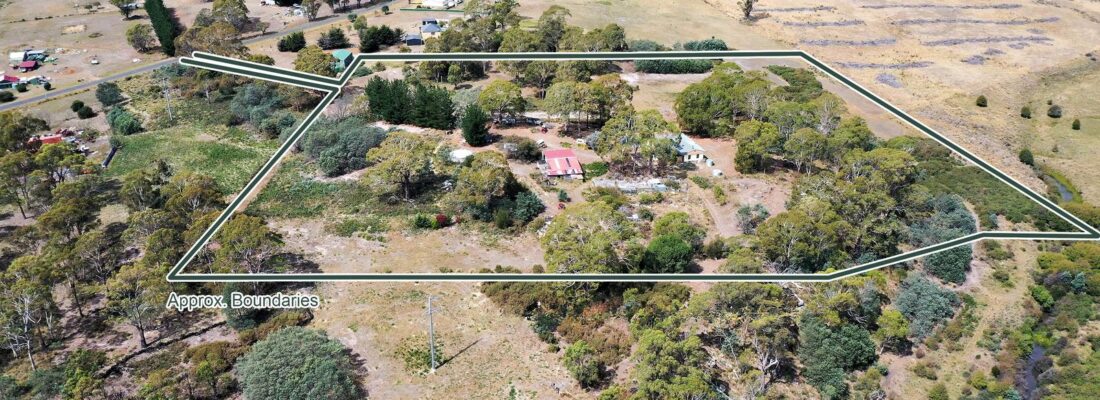 Fall Real Estate Vlad Gala