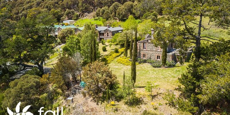 Chris Huxtable chris huxtable Fall Real Estate Chris Huxtable