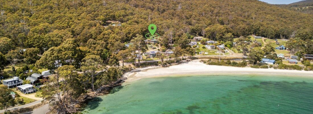 Naomi van Schie Naomi van Schie Fall Real Estate Naomi van Schie