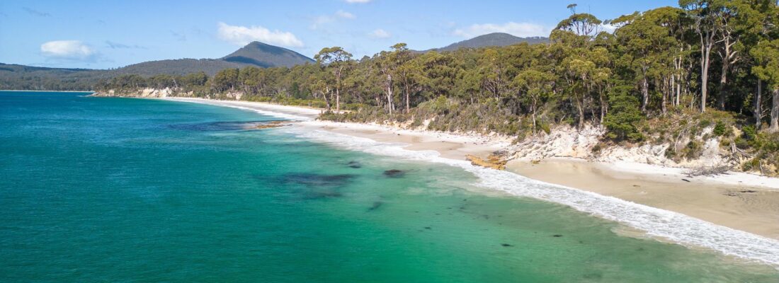 Naomi van Schie Naomi van Schie Fall Real Estate Naomi van Schie