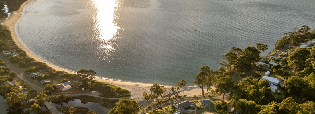 Naomi van Schie Naomi van Schie Fall Real Estate Naomi van Schie