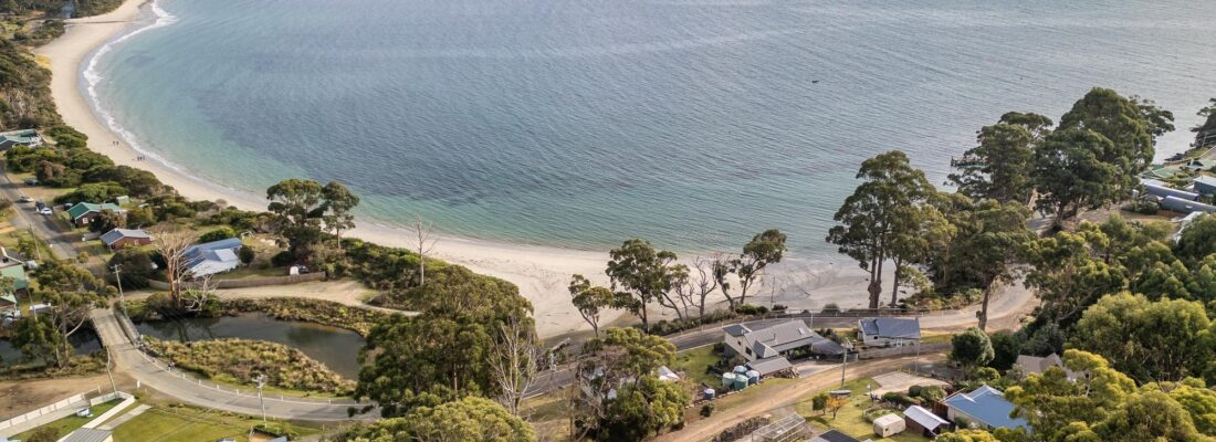 Naomi van Schie Naomi van Schie Fall Real Estate Naomi van Schie