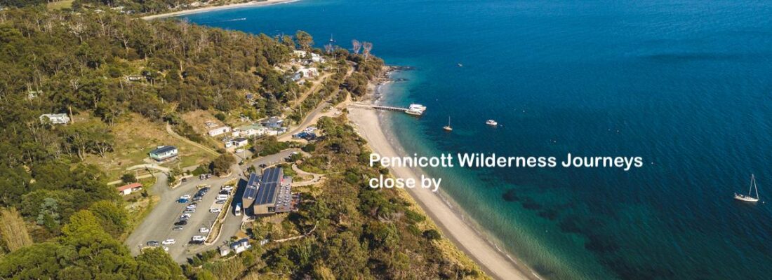 Naomi van Schie Naomi van Schie Fall Real Estate Naomi van Schie