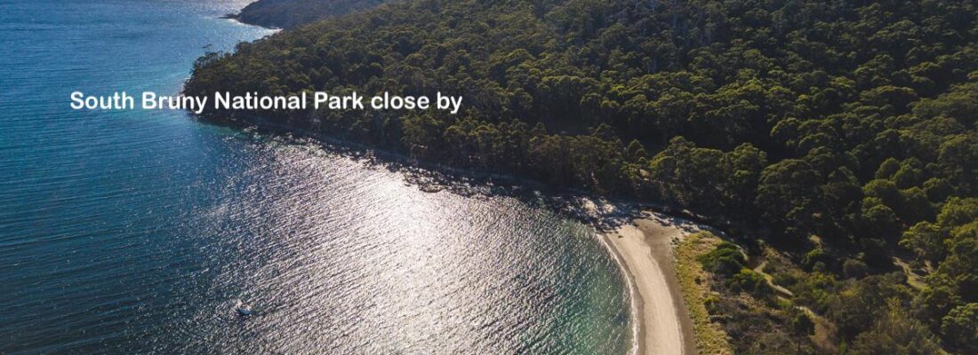 Naomi van Schie Naomi van Schie Fall Real Estate Naomi van Schie