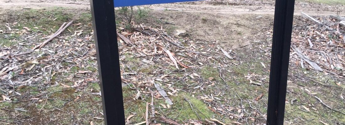 Fall Real Estate Jude Viney