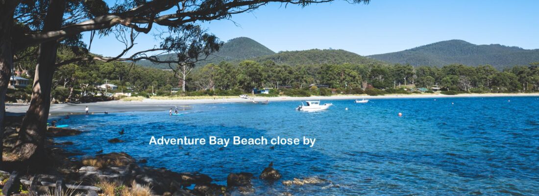 Fall Real Estate Jude Viney