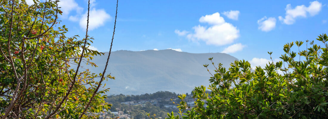 Fall Real Estate Sold