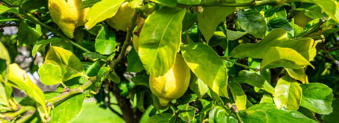 Sold Properties Sold Hobart Fall Real Estate Sold