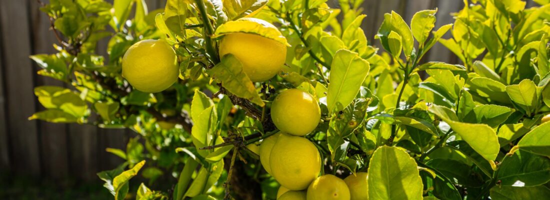 Sold Properties Sold Hobart Fall Real Estate Sold