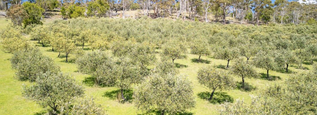 Bruny Island Real Estate Bruny Island Real Estate Fall Real Estate Bruny Island Real Estate