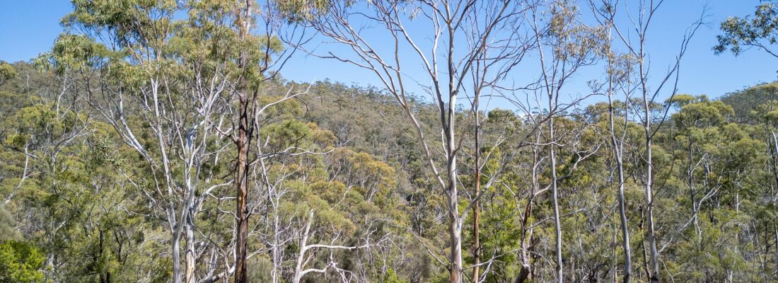 Bruny Island Real Estate Bruny Island Real Estate Fall Real Estate Bruny Island Real Estate