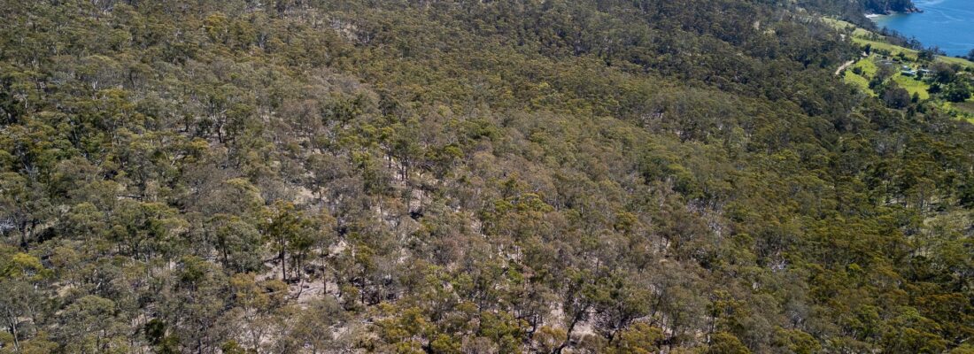 Bruny Island Real Estate Bruny Island Real Estate Fall Real Estate Bruny Island Real Estate