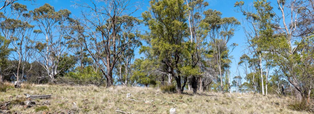 Bruny Island Real Estate Bruny Island Real Estate Fall Real Estate Bruny Island Real Estate