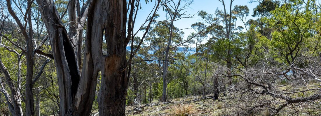 Bruny Island Real Estate Bruny Island Real Estate Fall Real Estate Bruny Island Real Estate