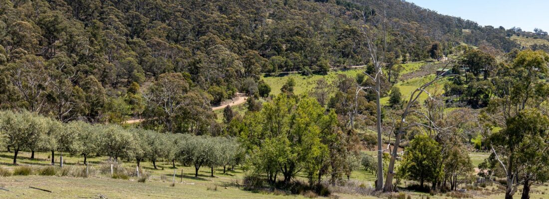 Bruny Island Real Estate Bruny Island Real Estate Fall Real Estate Bruny Island Real Estate