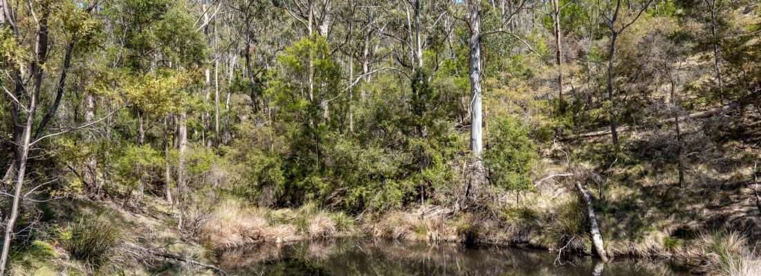 Bruny Island Real Estate Bruny Island Real Estate Fall Real Estate Bruny Island Real Estate