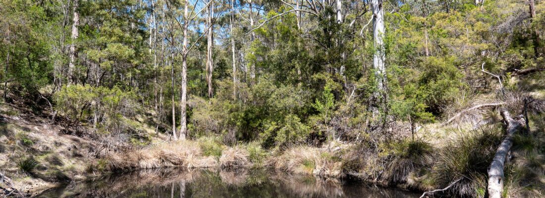 Bruny Island Real Estate Bruny Island Real Estate Fall Real Estate Bruny Island Real Estate