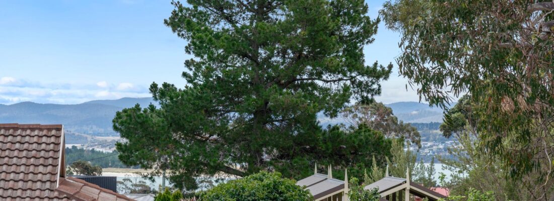 Fall Real Estate Jason Andrikonis