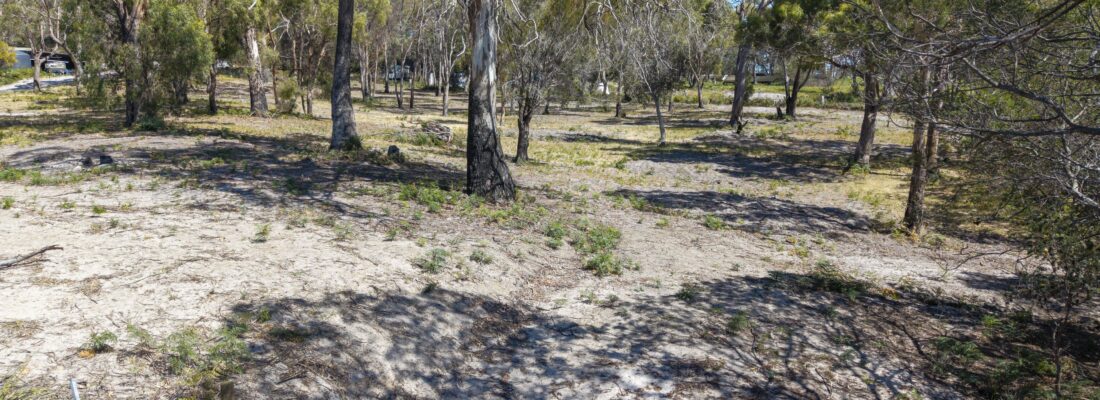 Vlad Gala Vlad Gala Fall Real Estate Vlad Gala