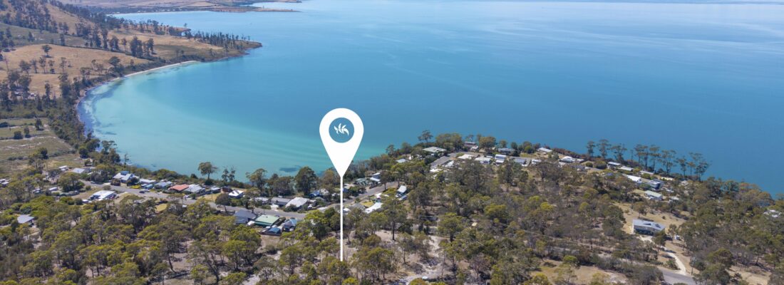 Vlad Gala Vlad Gala Fall Real Estate Vlad Gala