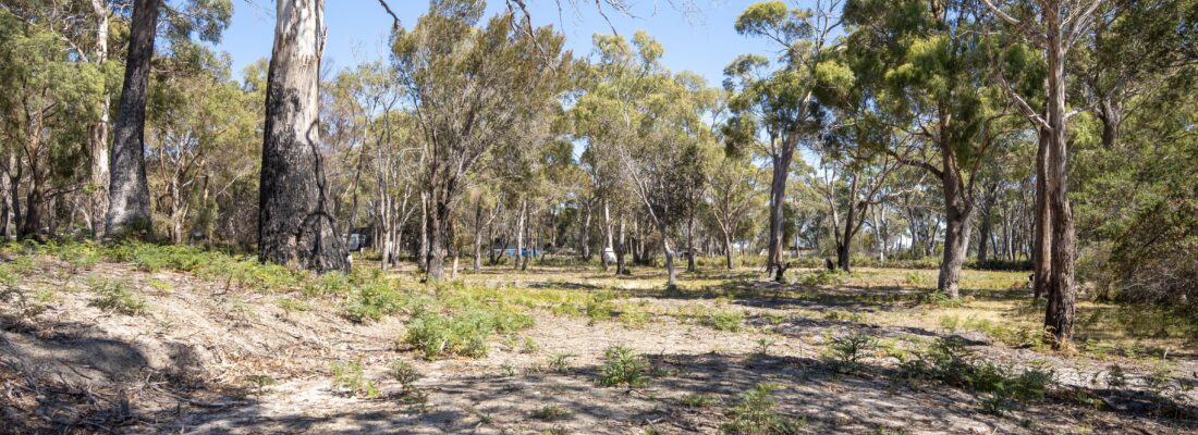 Vlad Gala Vlad Gala Fall Real Estate Vlad Gala