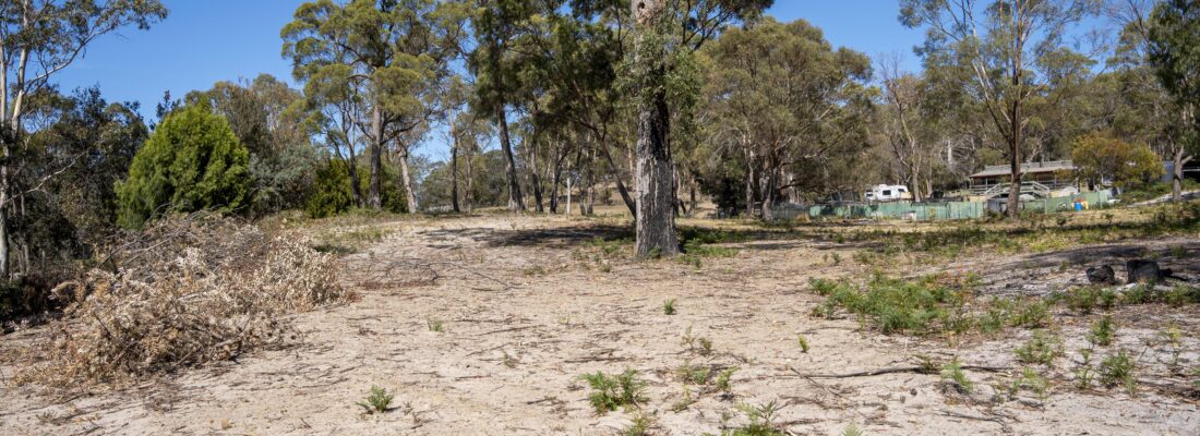 Vlad Gala Vlad Gala Fall Real Estate Vlad Gala