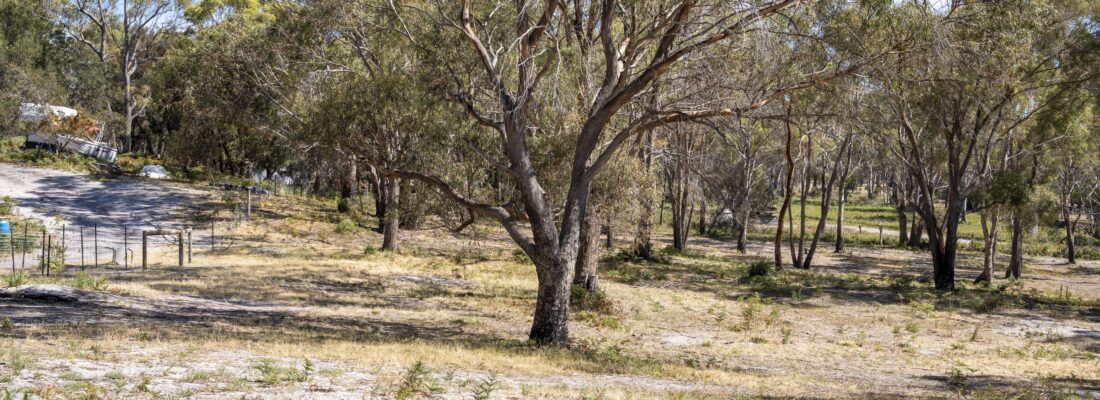 Vlad Gala Vlad Gala Fall Real Estate Vlad Gala