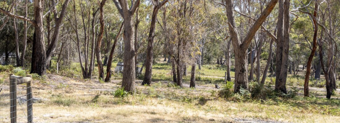 Vlad Gala Vlad Gala Fall Real Estate Vlad Gala