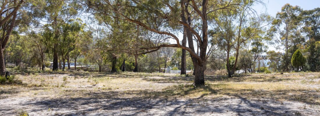 Vlad Gala Vlad Gala Fall Real Estate Vlad Gala