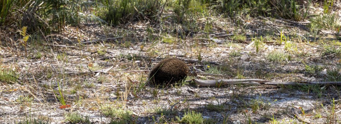 Vlad Gala Vlad Gala Fall Real Estate Vlad Gala